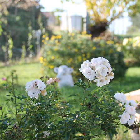 Pepe Rosa Bed & Breakfast Termoli Exterior photo