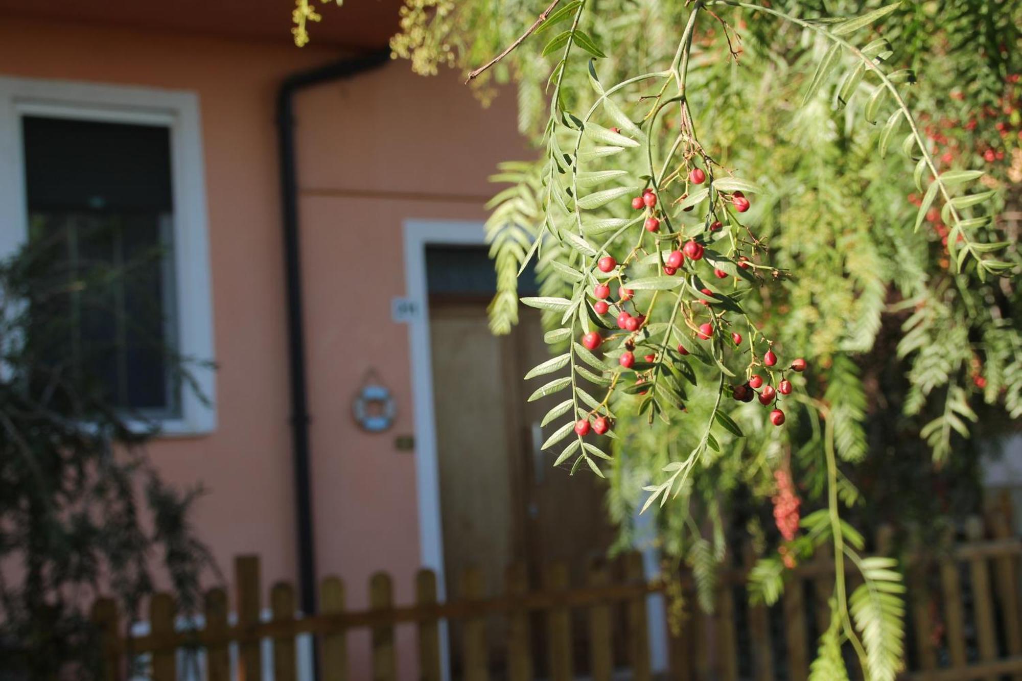 Pepe Rosa Bed & Breakfast Termoli Exterior photo